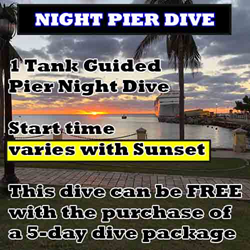 Night Dive Pier 